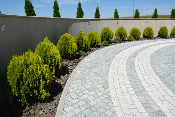 Best Best Driveway Pavers  in Westmont, CA